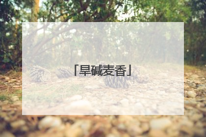 旱碱麦香
