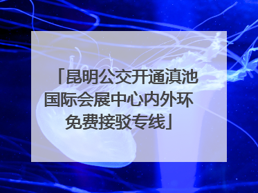 昆明公交开通滇池国际会展中心内外环免费接驳专线