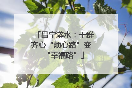 昌宁漭水：干群齐心“烦心路”变“幸福路”