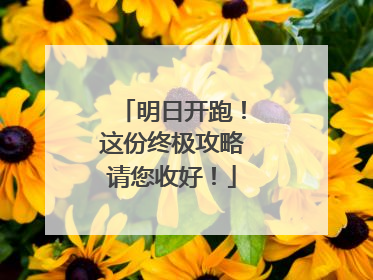 明日开跑！这份终极攻略请您收好！
