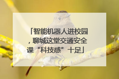 智能机器人进校园，聊城这堂交通安全课“科技感”十足
