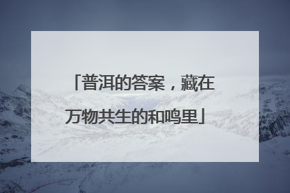 普洱的答案，藏在万物共生的和鸣里