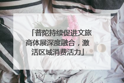 普陀持续促进文旅商体展深度融合，激活区域消费活力