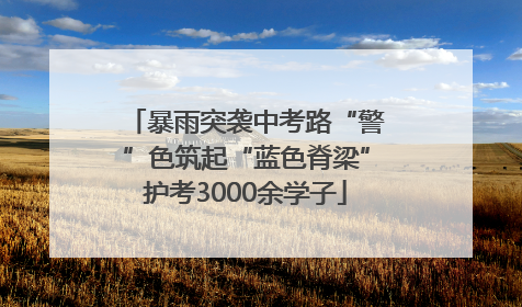 暴雨突袭中考路“警”色筑起“蓝色脊梁”护考3000余学子