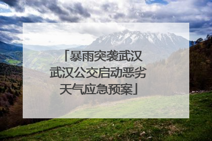 暴雨突袭武汉 武汉公交启动恶劣天气应急预案