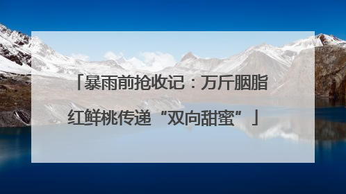 暴雨前抢收记：万斤胭脂红鲜桃传递“双向甜蜜”