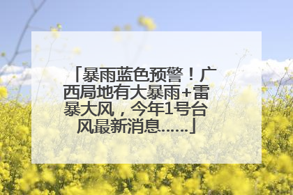 暴雨蓝色预警！广西局地有大暴雨+雷暴大风，今年1号台风最新消息……