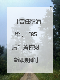 曾任职清华，“85后”黄佐财新职明确