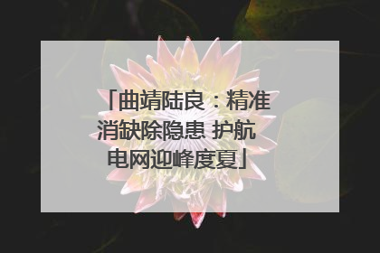 曲靖陆良：精准消缺除隐患 护航电网迎峰度夏