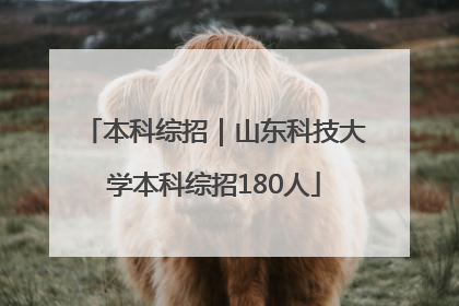 本科综招｜山东科技大学本科综招180人