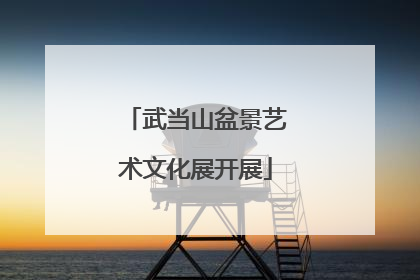 武当山盆景艺术文化展开展