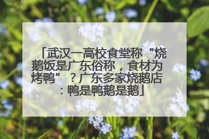 武汉一高校食堂称“烧鹅饭是广东俗称，食材为烤鸭”？广东多家烧鹅店：鸭是鸭鹅是鹅
