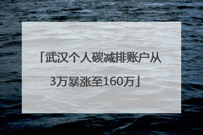 武汉个人碳减排账户从3万暴涨至160万