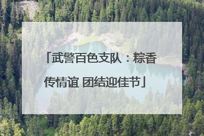 武警百色支队：粽香传情谊 团结迎佳节