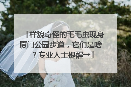 样貌奇怪的毛毛虫现身厦门公园步道，它们是啥？专业人士提醒→