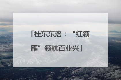 桂东东洛：“红领雁”领航百业兴