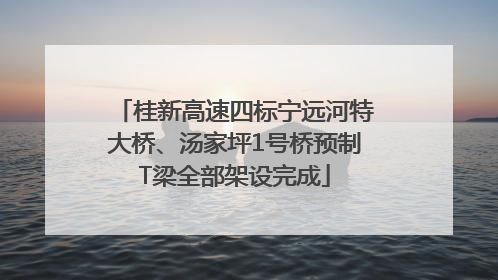 桂新高速四标宁远河特大桥、汤家坪1号桥预制T梁全部架设完成