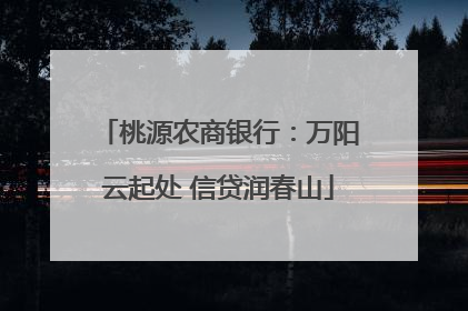 桃源农商银行：万阳云起处 信贷润春山