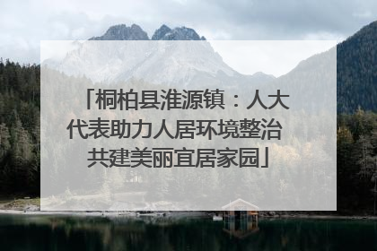 桐柏县淮源镇：人大代表助力人居环境整治 共建美丽宜居家园