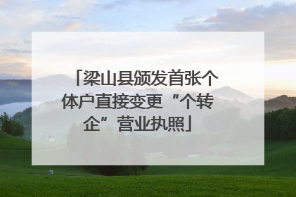 梁山县颁发首张个体户直接变更“个转企”营业执照