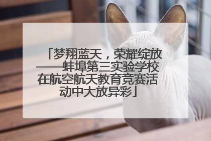 梦翔蓝天，荣耀绽放——蚌埠第三实验学校在航空航天教育竞赛活动中大放异彩