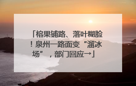 榕果铺路、落叶糊脸！泉州一路面变“溜冰场”，部门回应→
