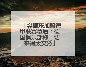 樊振东加盟德甲联赛幕后：德国俱乐部称一切来得太突然