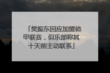 樊振东回应加盟德甲联赛，俱乐部称其十天前主动联系