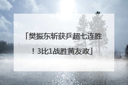 樊振东斩获乒超七连胜！3比1战胜黄友政