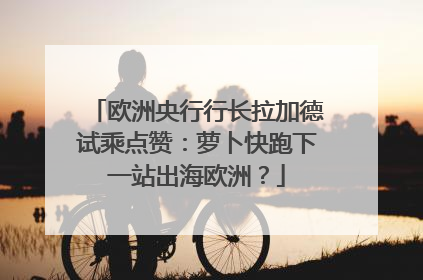 欧洲央行行长拉加德试乘点赞：萝卜快跑下一站出海欧洲？