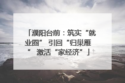 濮阳台前：筑实“就业圈” 引回“归巢雁” 激活“家经济”