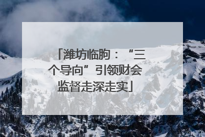 潍坊临朐：“三个导向”引领财会监督走深走实