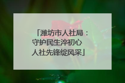 潍坊市人社局：守护民生淬初心 人社先锋绽风采