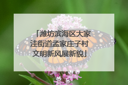 潍坊滨海区大家洼街道孟家庄子村文明新风展新貌