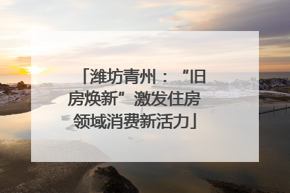 潍坊青州：“旧房焕新”激发住房领域消费新活力