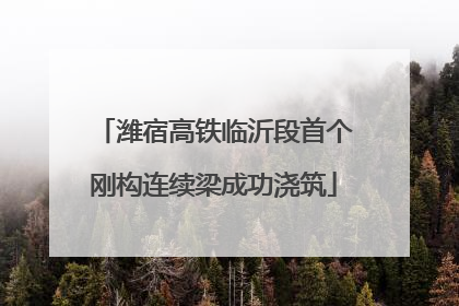 潍宿高铁临沂段首个刚构连续梁成功浇筑