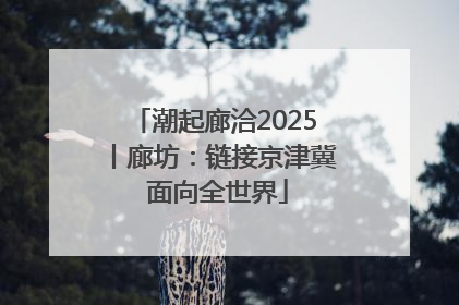 潮起廊洽2025丨廊坊：链接京津冀 面向全世界