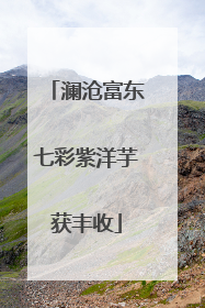 澜沧富东七彩紫洋芋获丰收