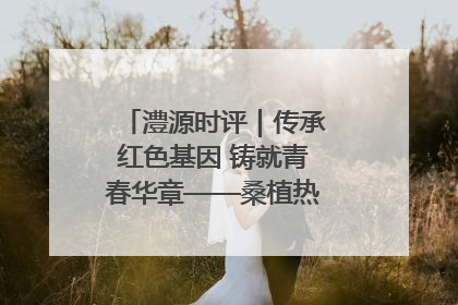 澧源时评｜传承红色基因 铸就青春华章——桑植热土上的青春长征