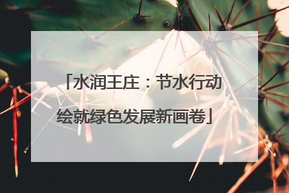 水润王庄：节水行动绘就绿色发展新画卷