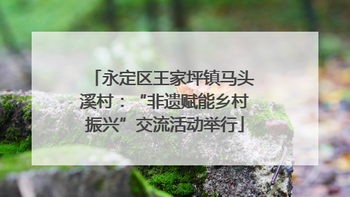 永定区王家坪镇马头溪村：“非遗赋能乡村振兴”交流活动举行