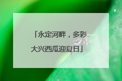 永定河畔，多彩大兴西瓜迎夏日