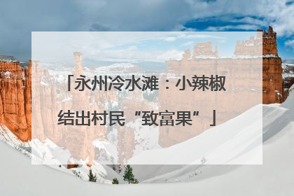 永州冷水滩：小辣椒结出村民“致富果”