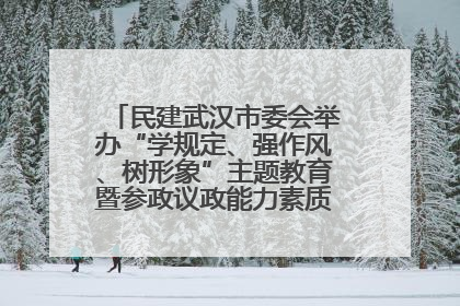 民建武汉市委会举办“学规定、强作风、树形象”主题教育暨参政议政能力素质提升培训班