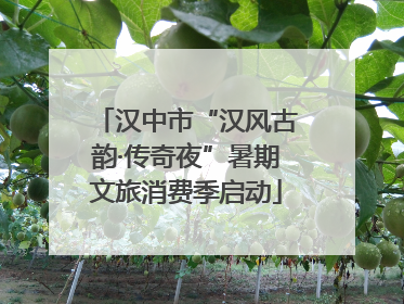 汉中市“汉风古韵·传奇夜”暑期文旅消费季启动