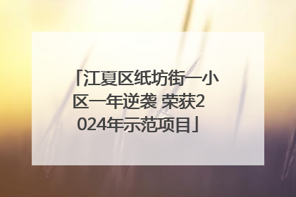 江夏区纸坊街一小区一年逆袭 荣获2024年示范项目