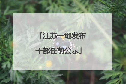 江苏一地发布干部任前公示