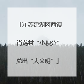 江苏建湖冈西镇肖荡村“小积分”兑出“大文明”