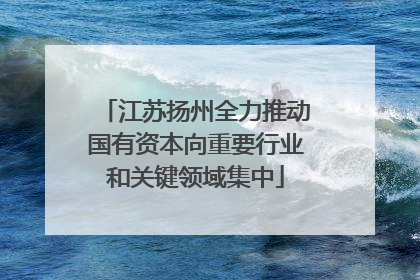 江苏扬州全力推动国有资本向重要行业和关键领域集中