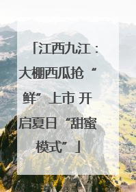 江西九江：大棚西瓜抢“鲜”上市 开启夏日“甜蜜模式”